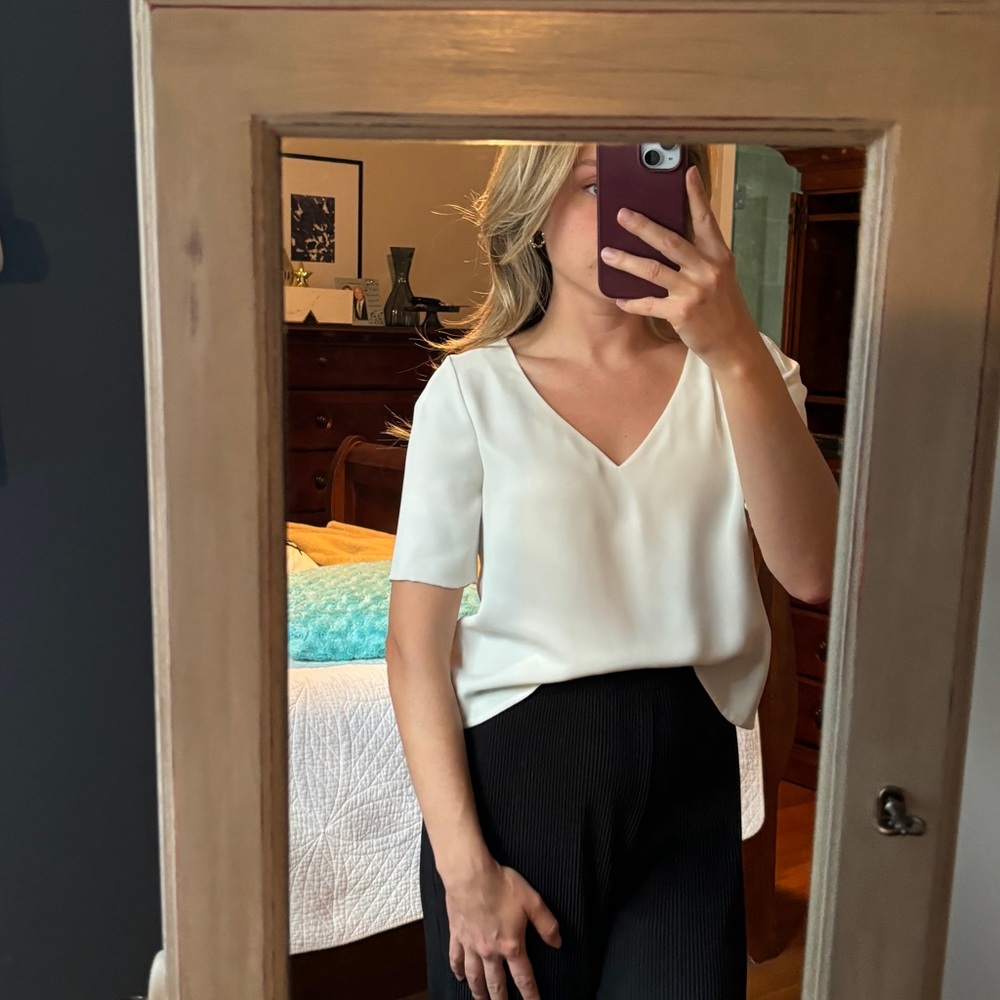 Aritzia V Neck Blouse